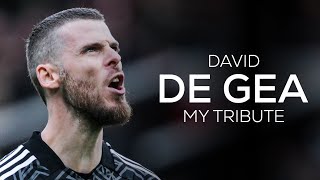 David De Gea  My Tribute [upl. by Ecnarolf]