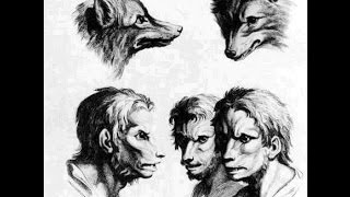 Lycanthropie et loup garou quel rapport [upl. by Bensen]