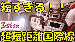 超短距離なのに需要大路線！？通勤でも使う人がいそうな国際線を利用すると [upl. by Tselec]