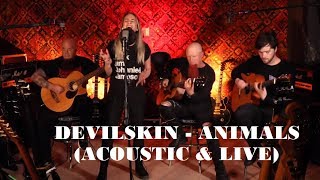 Devilskin  Animal Acoustic Version Performed For The 2017 VNZMAs [upl. by Ardnassac]