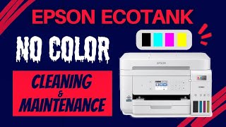 Epson Ecotank Printhead Cleaning No Color [upl. by Tiebold981]