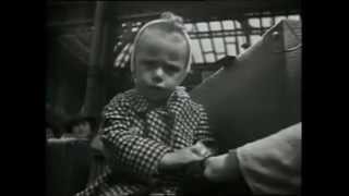 Nickys Children Sir Nicholas Winton Holocaust [upl. by Ordnael]