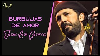 Juan Luis Guerra  BURBUJAS DE AMOR  Karaoke por Voxi [upl. by Mountford89]