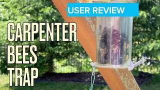 Carpenter Bees Trap Review [upl. by Adirf]