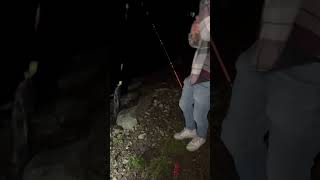 Catching Black Spotted Channel Catfish fishing catfish viralvideo reels shortvideo shorts [upl. by Bergstein]