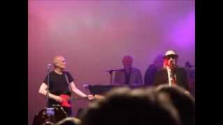 The Blockheads featuring Wilko Johnson  Sweet Gene Vincent  Wickham Festival 4th August 2013 [upl. by Primalia]