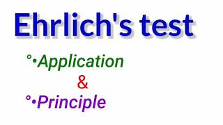 Ehrlichs test  Application  Principle amp Procedure [upl. by Mcquade]