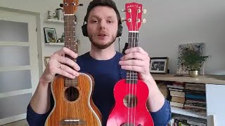 Ukulele  Lekcja 1  strojenie rozgrzewka podstawowe chwyty  Małe Inne Brzmienia [upl. by Killoran]