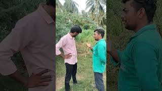 Dhanush Annan thambi comedyfunny video tamil [upl. by Danieu]