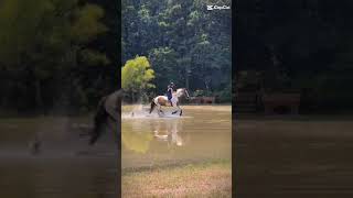 Our first time cantering through the water horse eventing fyp [upl. by Elihu]