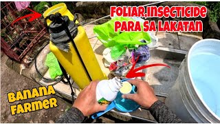 INSECTICIDEFOLIAR PARA SA LAKATANBANANA FARMINGPAANO MAG SPRAY NG BUNGA NG SAGING [upl. by Yltsew828]