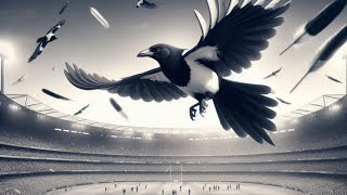 COLLINGWOOD MAGPIES AFL THEME SONG EDM STYLE AFL COLLINGWOOD AFLEDM [upl. by Alaek]