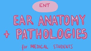 ENT  Ear Anatomy  Pathologies for Medical Students [upl. by Blakelee956]