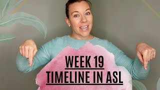 CC Timeline Week 19 Hand motions in ASL [upl. by Sievert]