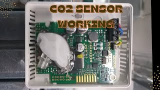 CO2 sensor working [upl. by Ettezyl]