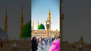 Main Banda E Aasi Hoon  Beautiful Naat  Whatsapp Status  Naat Status shorts youtubeshorts [upl. by Asirralc]