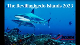 Scuba Diving Socorro The Best Diving in The East Pacific The Revillagigedo Islands 2023 [upl. by Cirdet]