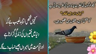 Allah Quotes In Urdu Quotes In Urdu  Anmol Word Quotes In Urdu poetry [upl. by Mossberg573]