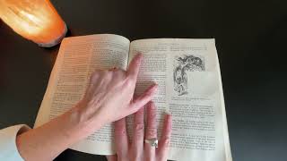 Flipping Through a Crinkly Book of Cultural Literacy  Brightness Check  ASMR Page Turning [upl. by Ianej]