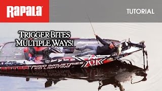 The Most Versatile Jerkbait The Rapala® Shadow Rap® [upl. by Sublett]