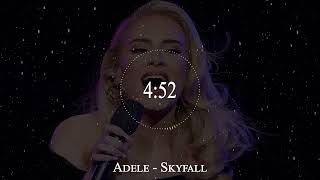 Adele  Skyfall [upl. by Tsnre873]