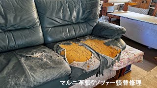 【30年マルニ革ソファ蘇る！職人技で張替え修理】 高級家具の修理・張替えならおまかせください！ [upl. by Yung]