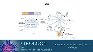 Virology 2014 lecture 13  Intrinsic and innate defenses [upl. by Fira]