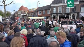 Boerenmaandag 2016 Nijkerk BDU [upl. by Zerline]