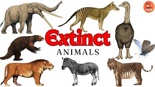 Top 70 Extinct Animals Names in English for kids kidslearning animals reptiles [upl. by Dub]