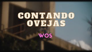 WOS  CONTANDO OVEJAS  INSTRUMENTAL [upl. by Drusie388]