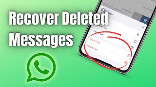 How to Recover Deleted messages from WhatsApp on iPhone without backup 2023 [upl. by Irrac106]