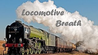 Locomotive Breath  Heaviest Rockiest Jethro Tull cover [upl. by Nya]