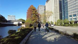 Tokyo Imperial Palace [upl. by Goggin]