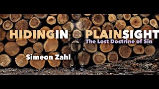 Hiding in Plain Sight The Lost Doctrine of Sin – Simeon Zahl [upl. by Nnylasor]