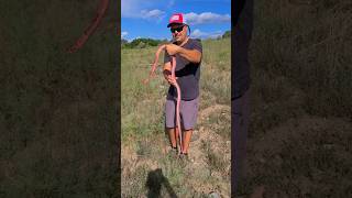 CATCHING SNAKES IN PUBLIC😱💀😂 snake reptiles fishing herping funny shorts [upl. by Simons]