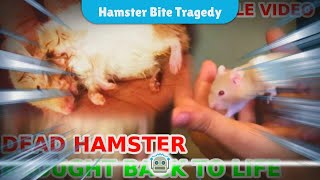 Tragic Death of Mother After Hamster Bite Shocks Community [upl. by Vassell34]