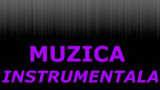 Formatia Adrian Minune Hora Instrumentala 2015 [upl. by Eslud]