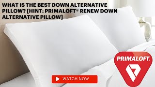 What is the best down alternative pillow Hint PrimaLoft® Renew Down Alternative Pillow [upl. by Christyna]