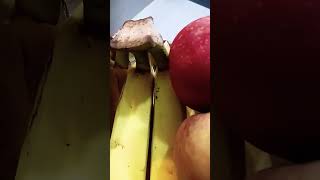 Aarogyam ki manchi fruits like share subscribe [upl. by Papke]