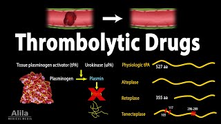 Pharmacology Thrombolytic Fibrinolytic Drugs Animation [upl. by Malachi]