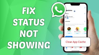 How to Fix Status Not Showing on WhatsApp [upl. by Annasoh]