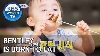 Bentley is born to eat The Return of Superman20190915 [upl. by Marvella]