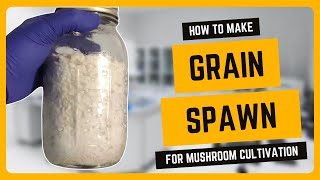 How to Make Mushroom Grain Spawn [upl. by Arodasi]