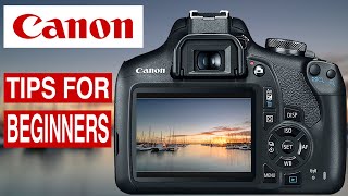 CANON CAMERA AND PHOTOGRAPHY TIPS  USING LIVE VIEW for beginners [upl. by Imrots206]