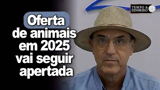 Boi gordo oferta de animais em 2025 vai seguir apertada [upl. by Rabiah]