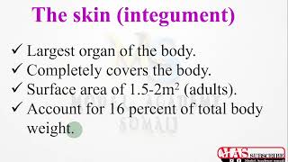 INTEGUMENTARY SYSTEM  ANATOMY  Part1  Afsoomaali [upl. by Maida361]