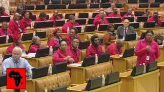 Comedy In Parliament EFF vs Deputy Speaker Lechesa Tsenoli [upl. by Jeremie]