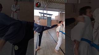 Karate Technique [upl. by Siloam]