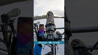 iPhoneと一眼レフ 望遠レンズの違いNikonz8カメラ [upl. by Nika117]