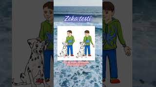 Zeka testi [upl. by Durwin]